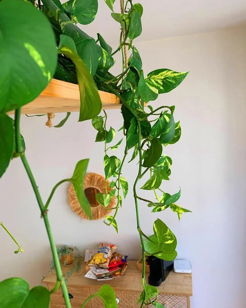 Apartment Josefine Im Wien Zentrum, Kurz- Und Langzeitaufenthalte 0*, Vienna